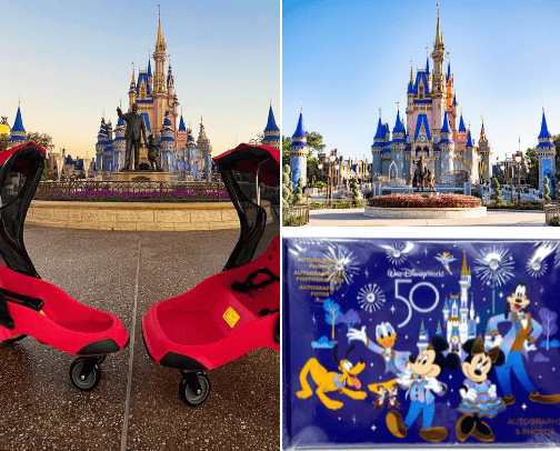 Disney World tips cover photo collage
