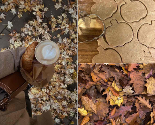 𝓟𝓾𝓶𝓹𝓴𝓲𝓷 𝓢𝓹𝓲𝓬𝓮 & 𝓔𝓿𝓮𝓻𝔂𝓽𝓱𝓲𝓷𝓰 𝓝𝓲𝓬𝓮 ༄｡° cover photo collage