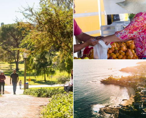 my favorite irvine spots! cover photo collage