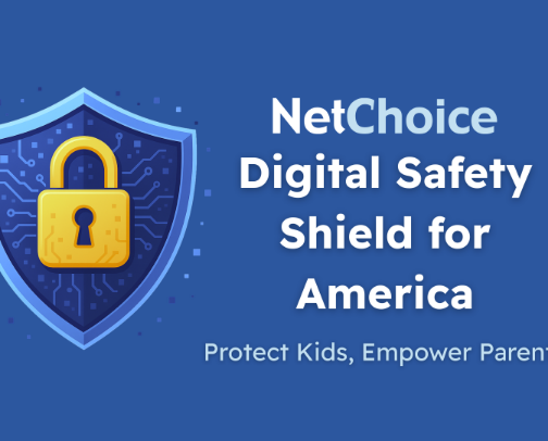 NetChoice cover photo collage