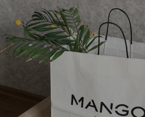 Mango bags and shoes 🥭 cover photo collage