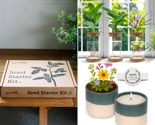 Gift Guide: Plant Parents🪴✨ cover photo collage