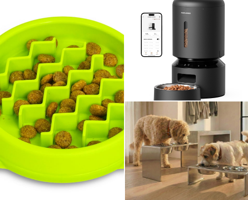 Essentials for ALL pets! 🐍🐶🐱🐴 cover photo collage