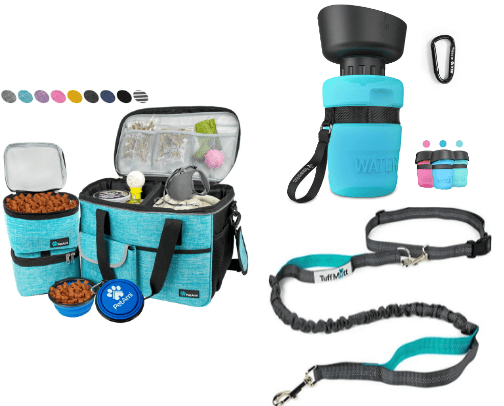 Get Your Dog Ready for Any Adventure 🐕🚘⛺️ cover photo collage