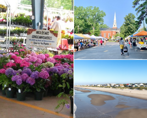 A local’s guide to Greensboro! cover photo collage