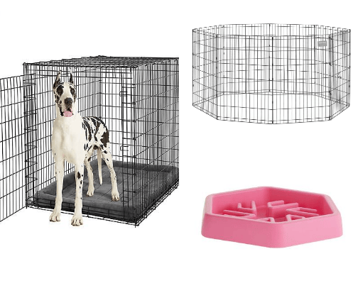 dogs life🐶🐾 cover photo collage