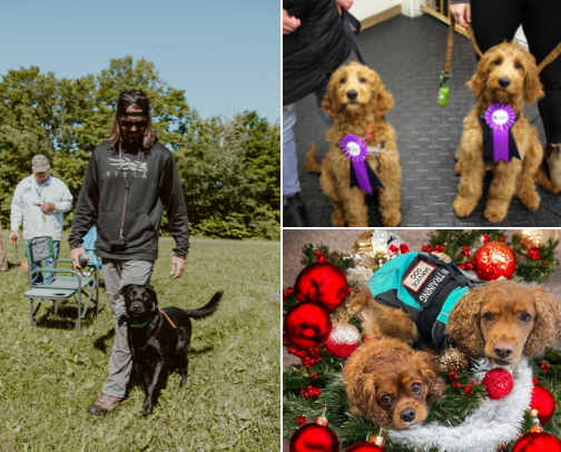 Trusted Pet Services Across the Atlantic Provinces cover photo collage