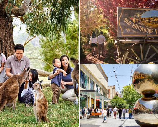 Exploring Adelaide: The Ultimate Travel Guide 🌿🍷🌊 cover photo collage