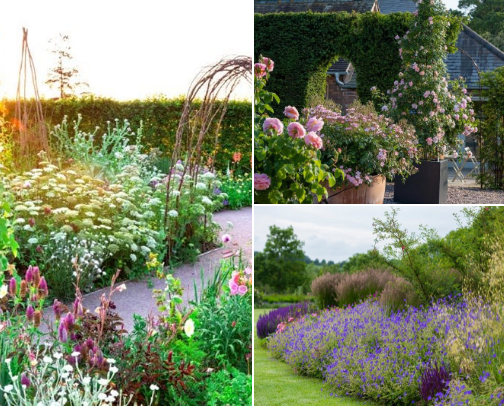 🌿 Simple Country Living Ideas I Love cover photo collage