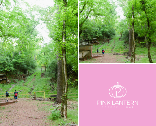 My Birmingham Favorites | Local Gems & Must-Visit Spots cover photo collage