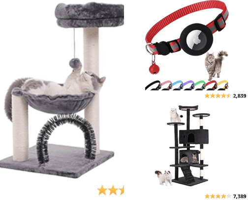 New Kitten Owner Must Haves cover photo collage