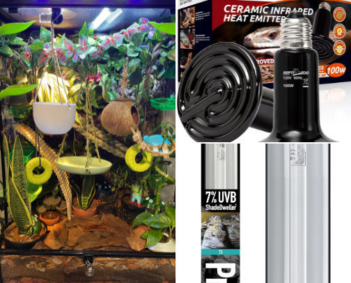 Terrarium Build cover photo collage