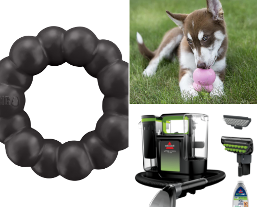 High-Energy Dog Breed Essentials🐾 cover photo collage