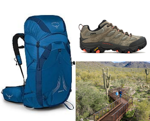 Getting Active in the Phoenix area cover photo collage