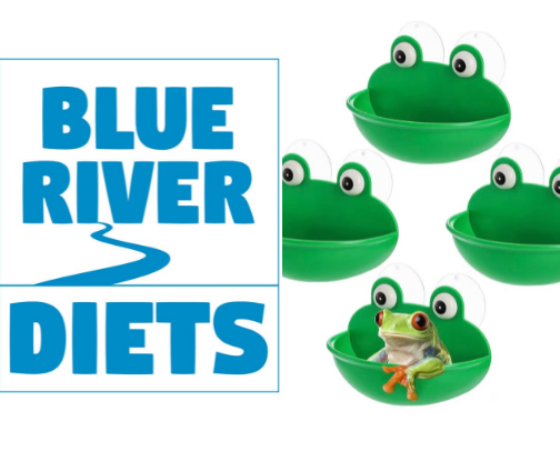 Reptile stuff cover photo collage
