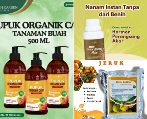 Pupuk Andalan untuk Bibit Buah Supaya Cepat Besar & Subur cover photo collage