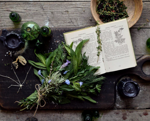 herbal product recs 🌿 cover photo collage