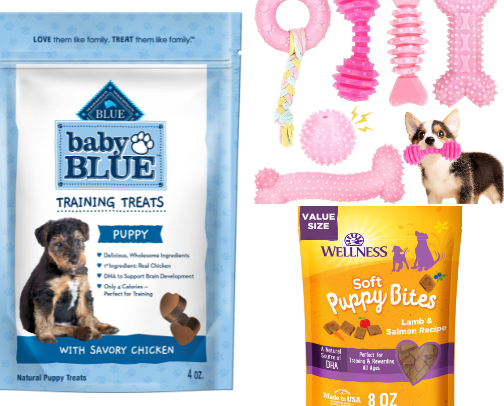 Life with pets cover photo collage