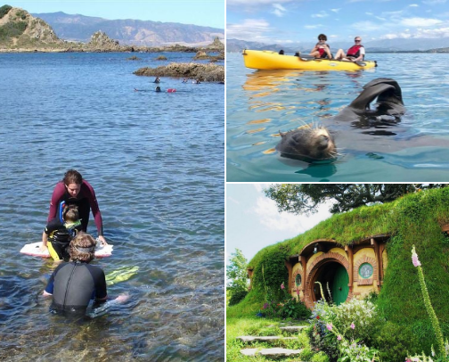 My top recommendations for a trip around New Zealand cover photo collage