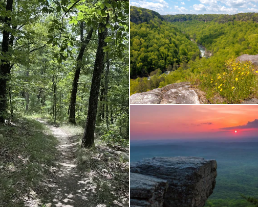 Places for you to travel to next cover photo collage