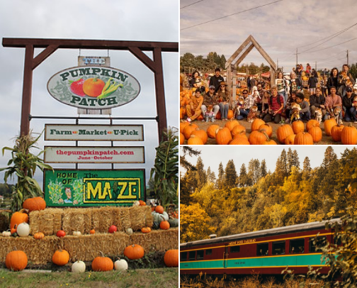 Things to do near Portland, OR in Autumn 🍁 cover photo collage