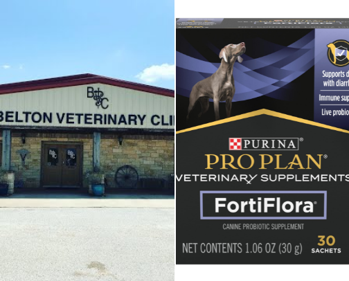 Pet Care cover photo collage