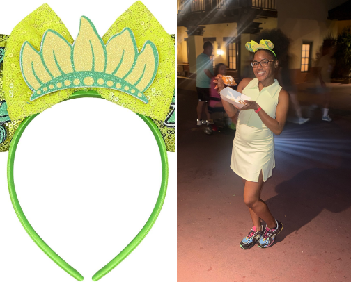 Disney Checklist cover photo collage