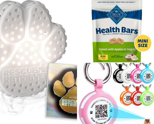 PAWfect picks! all things dog! 🐶🐾 cover photo collage