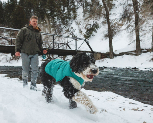 Winter Doggy Items cover photo collage