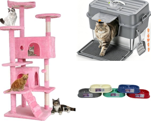 All Things New kitten cover photo collage