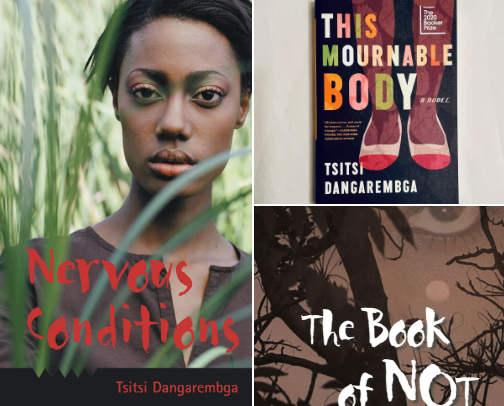 Interesting African Novels for Book Lovers cover photo collage