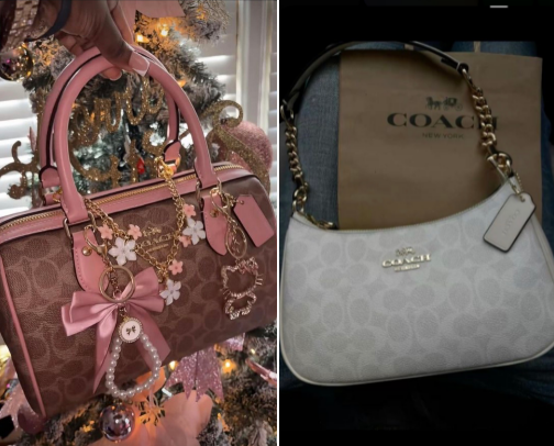 rec purse’s cover photo collage