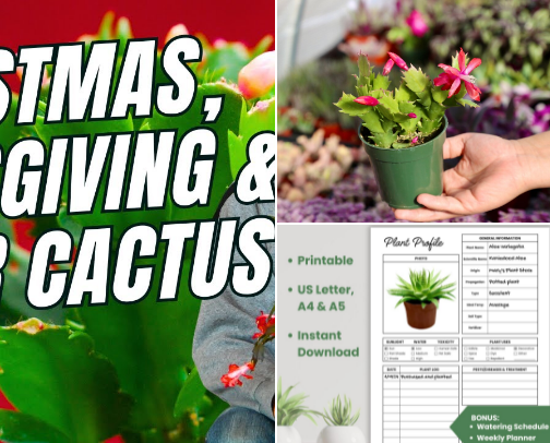 Happy Houseplants: Your Easy Indoor Care Guide cover photo collage