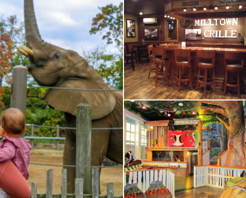 What to do and where to eat northern CT/southern MA cover photo collage