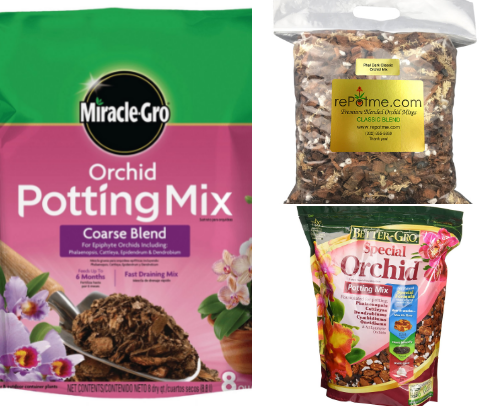 New!!! crazy plant mom cover photo collage