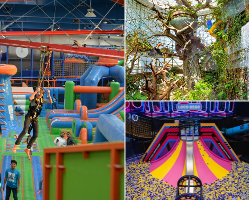 Indoor activities cover photo collage