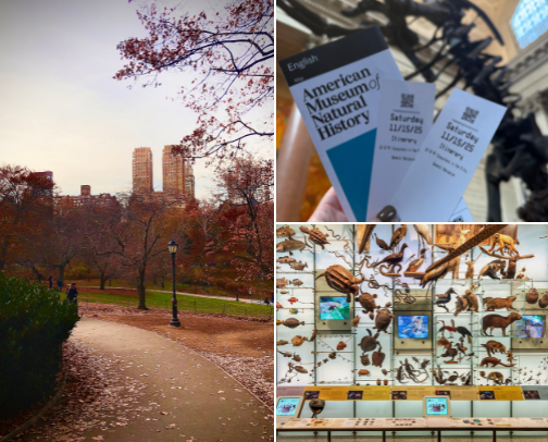 New York City Travel Guide cover photo collage