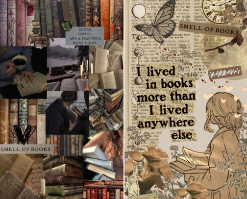 BOOK RECOS cover photo collage