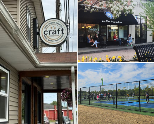 My top Newfane recs cover photo collage