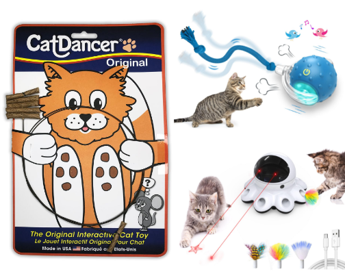 Favorite cat items cover photo collage