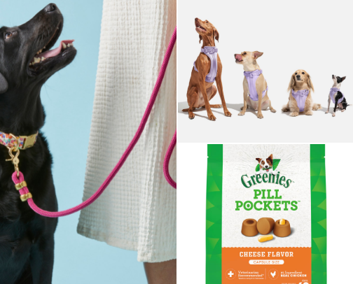 Dog Ownerβs Essentials cover photo collage