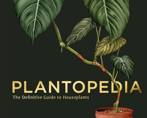 Plant lovers cover photo collage
