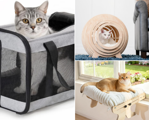 New Cat Parent Starter Kit: Must-Haves for a Happy Kitty Home cover photo collage
