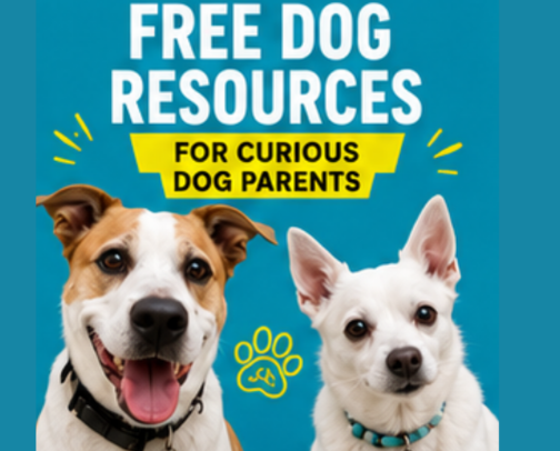 Free Dog Resources for Curious Dog Parents 🐾 cover photo collage