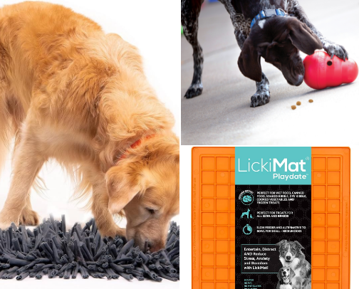 Essentials for Puppies and Dogs cover photo collage