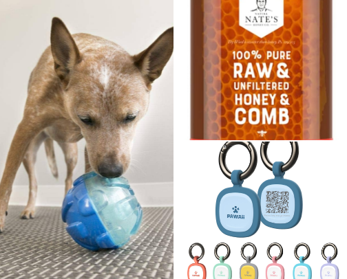 Everything you need for an adopted dog cover photo collage