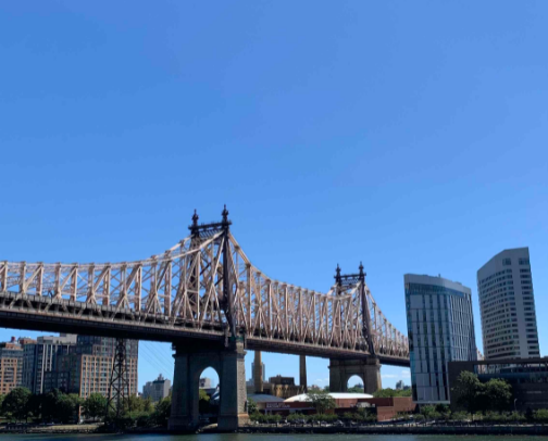 a nyc native’s favorite places in nyc 🍎🌃🚕🗽 cover photo collage