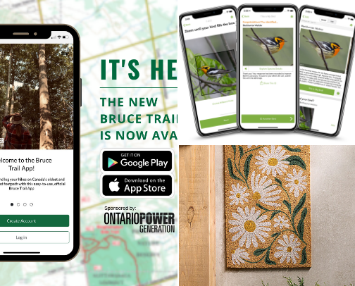 Apps That Make Life Beautiful cover photo collage