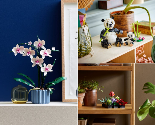 Live, Laugh, Legos cover photo collage