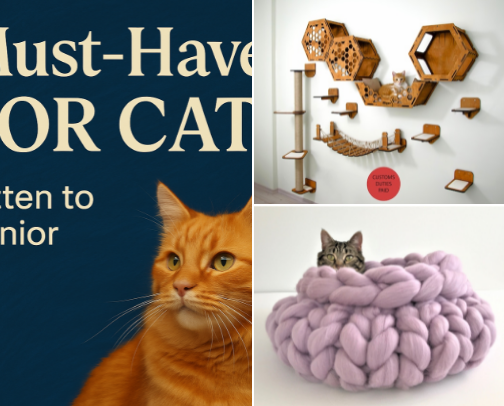 What Cats Really Want — Essentials for Kittens Through Senior Age cover photo collage